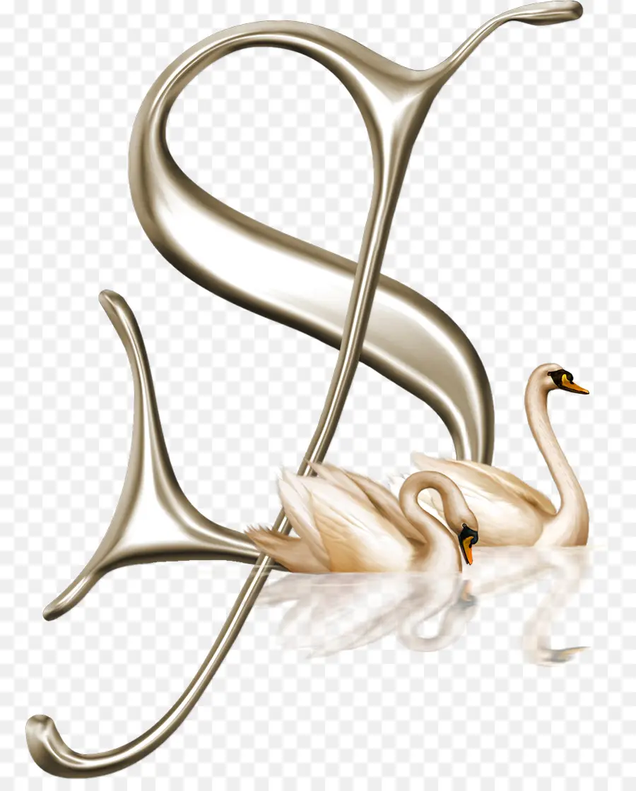 Cisne，Pássaro PNG