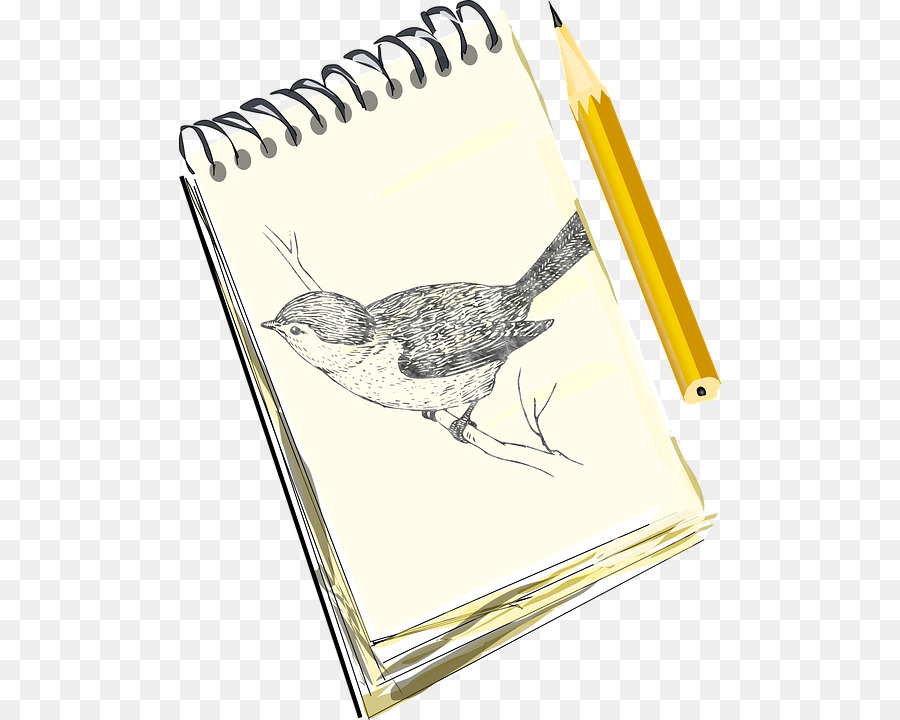 Caderno De Desenho，Pássaro PNG