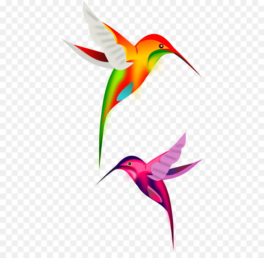 Colibri，Vôo PNG