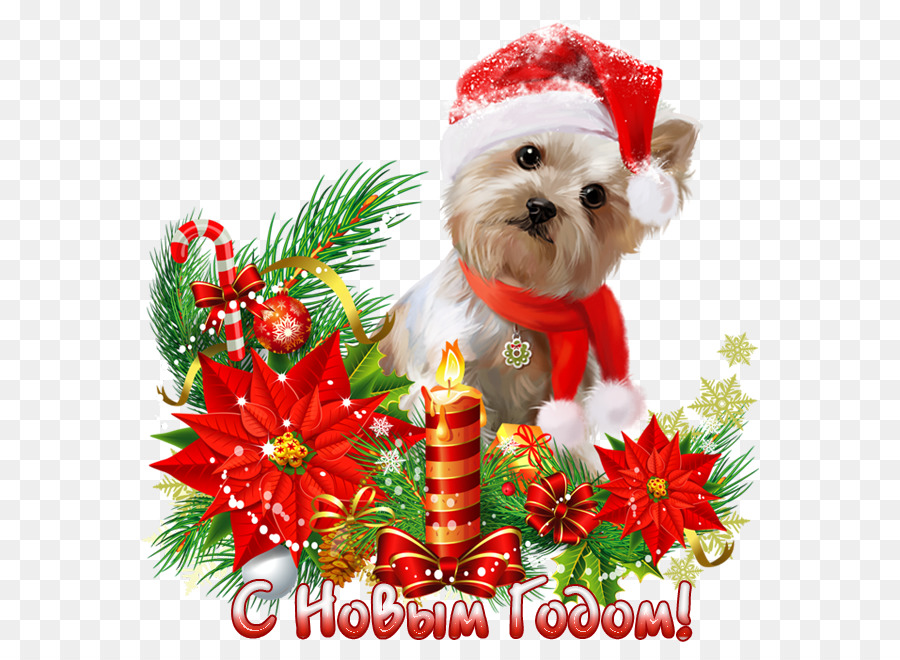 Cachorro De Natal，Chapéu De Papai Noel PNG