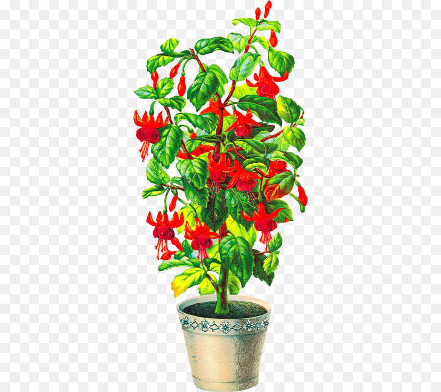 Planta Com Flor Vermelha，Pote PNG