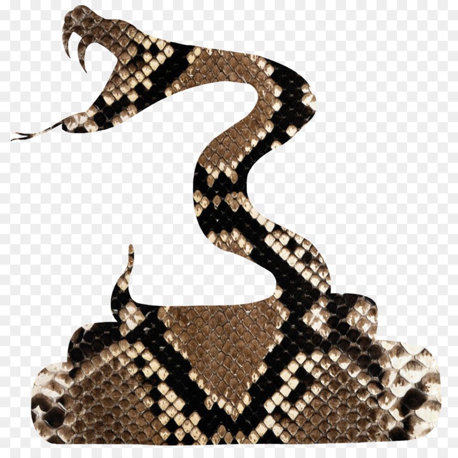 Cobra，Venenoso PNG