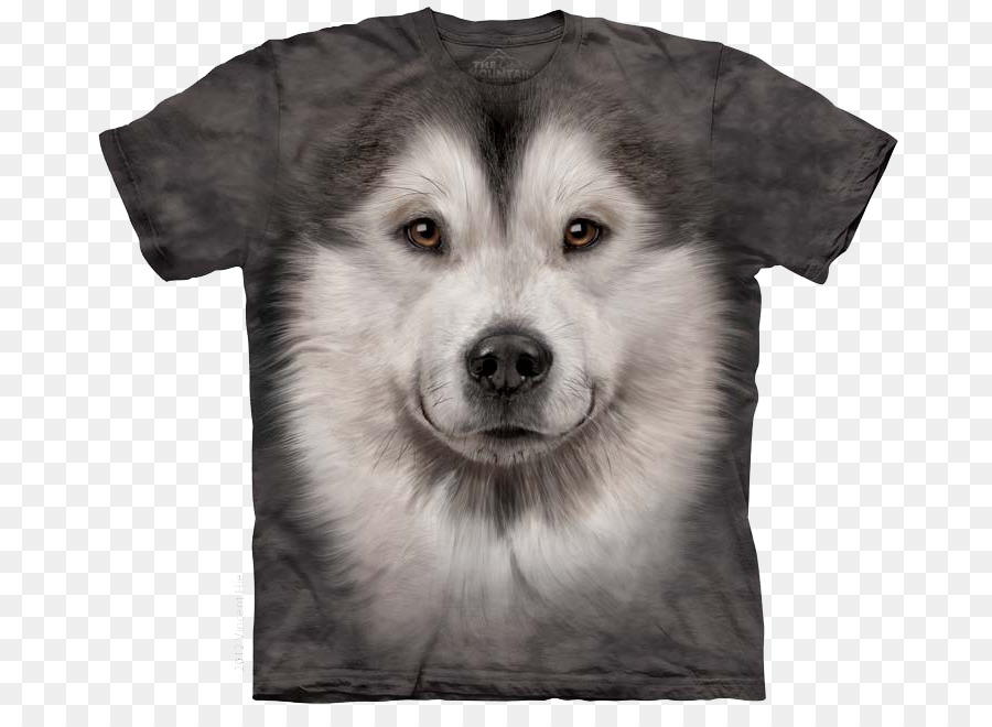 Tshirt，Bernese Mountain Dog PNG