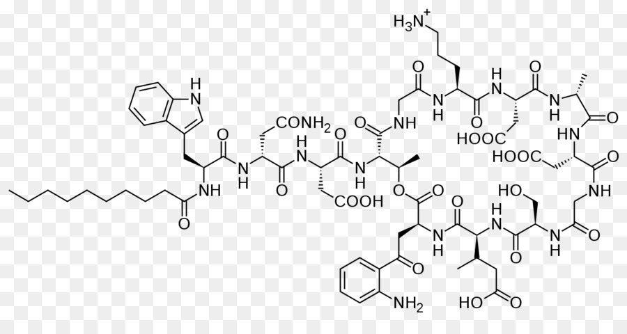 Estrutura Química，Química PNG