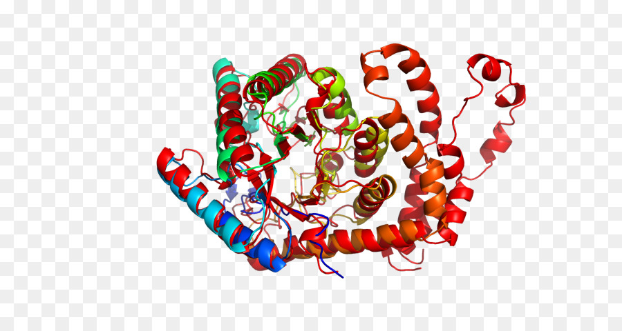 Estrutura Proteica，Molécula PNG