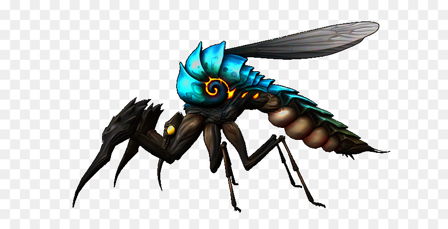 Inseto，Mosquito PNG