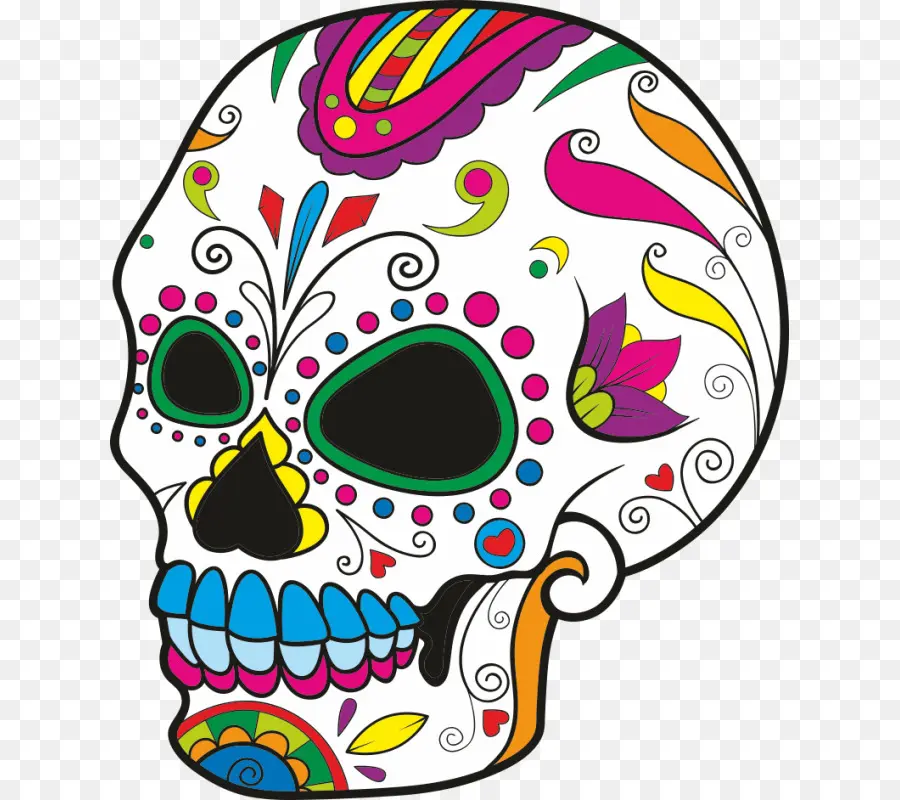 Calavera，Crânio PNG