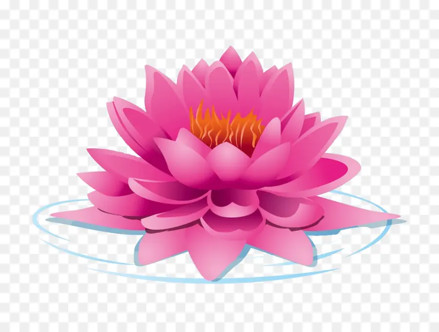 Nelumbo Nucifera，Lotus Cars PNG