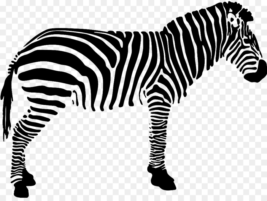 Listras De Zebra，Preto E Branco PNG