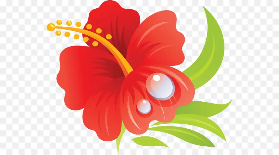 Flor De Hibisco，Flor Vermelha PNG