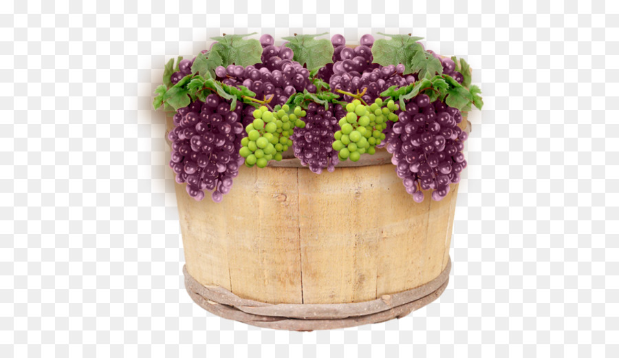 Uvas Na Cesta，Videira PNG