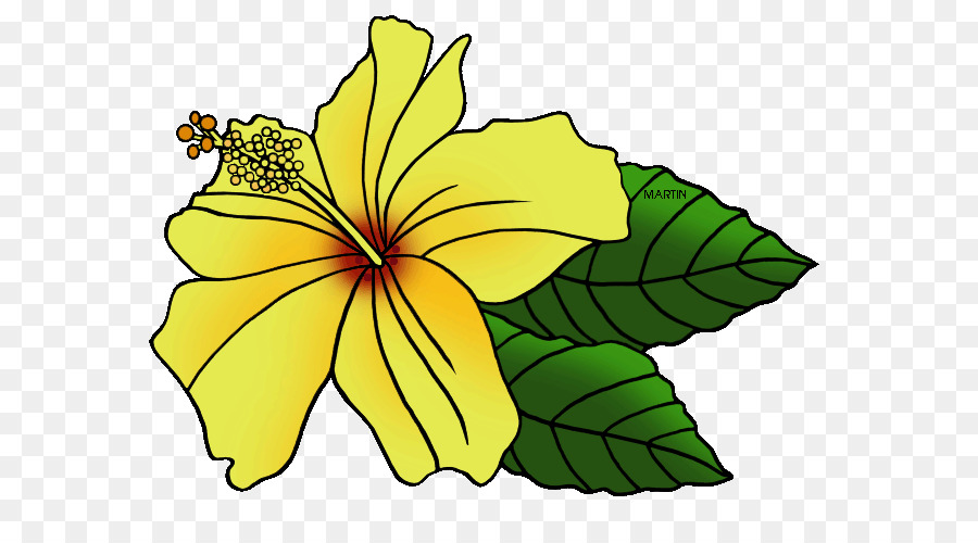 Flor Amarela，Pétalas PNG