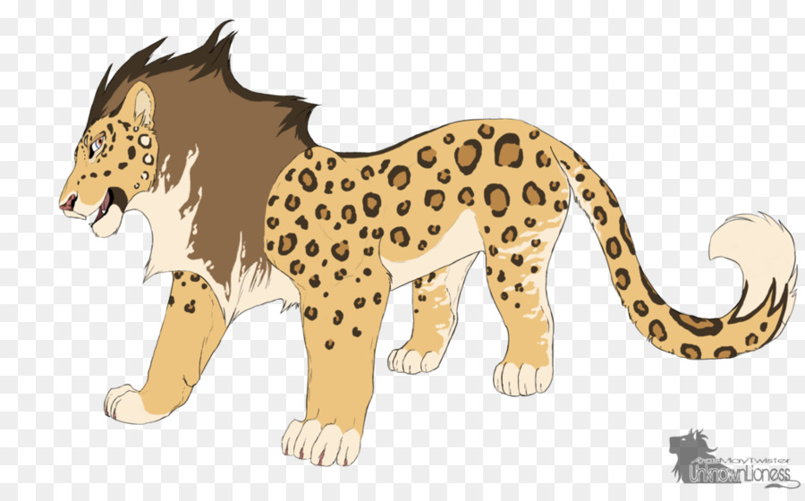 Cheetah，Leão PNG