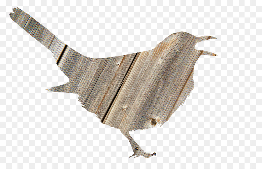 Aves，Silhueta PNG