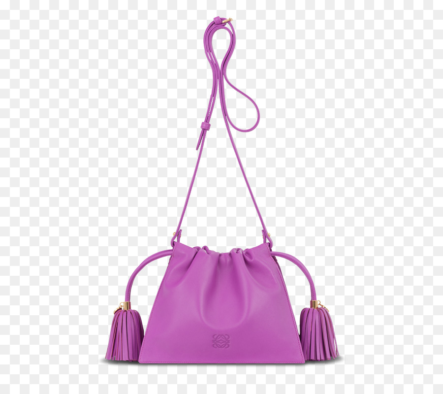 Bolsa De Mão，Loewe PNG