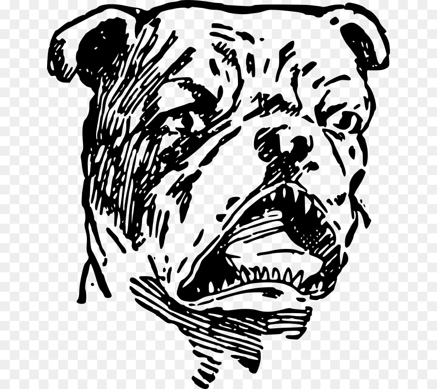 Raça Do Cão，Bulldog PNG
