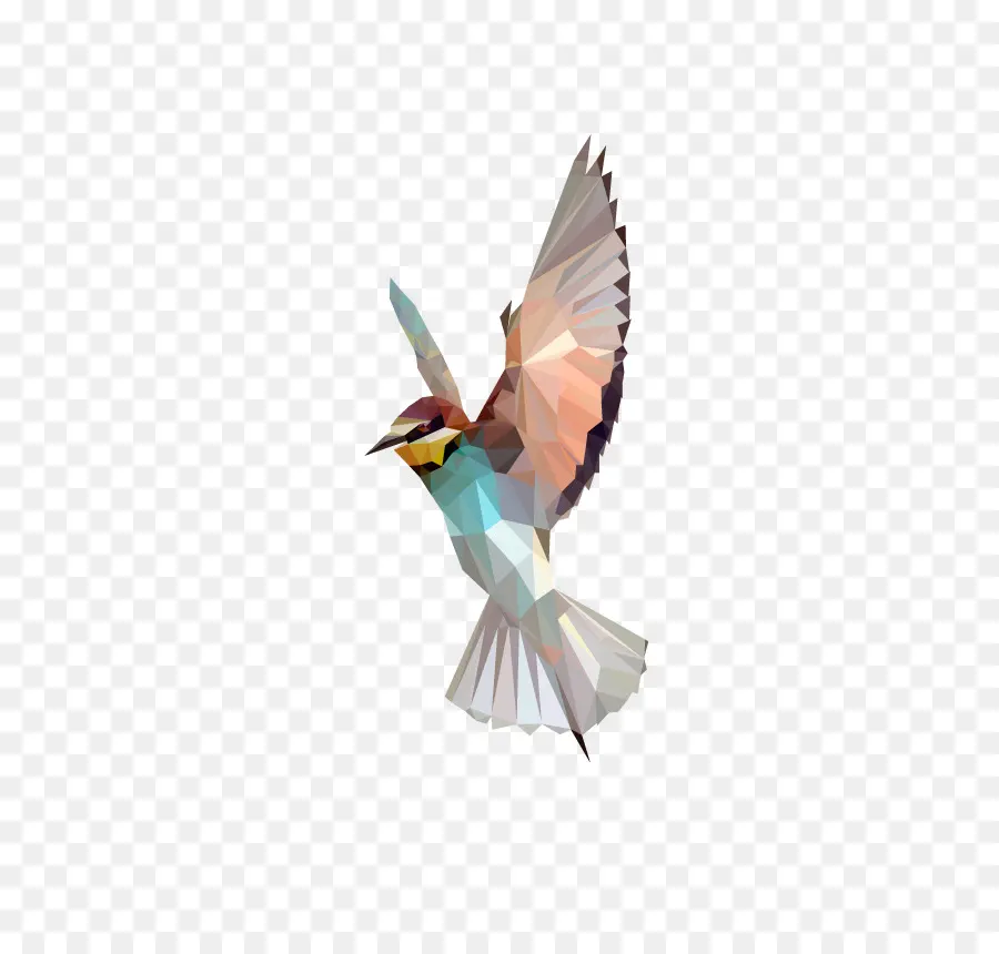 Aves，Low Poly PNG