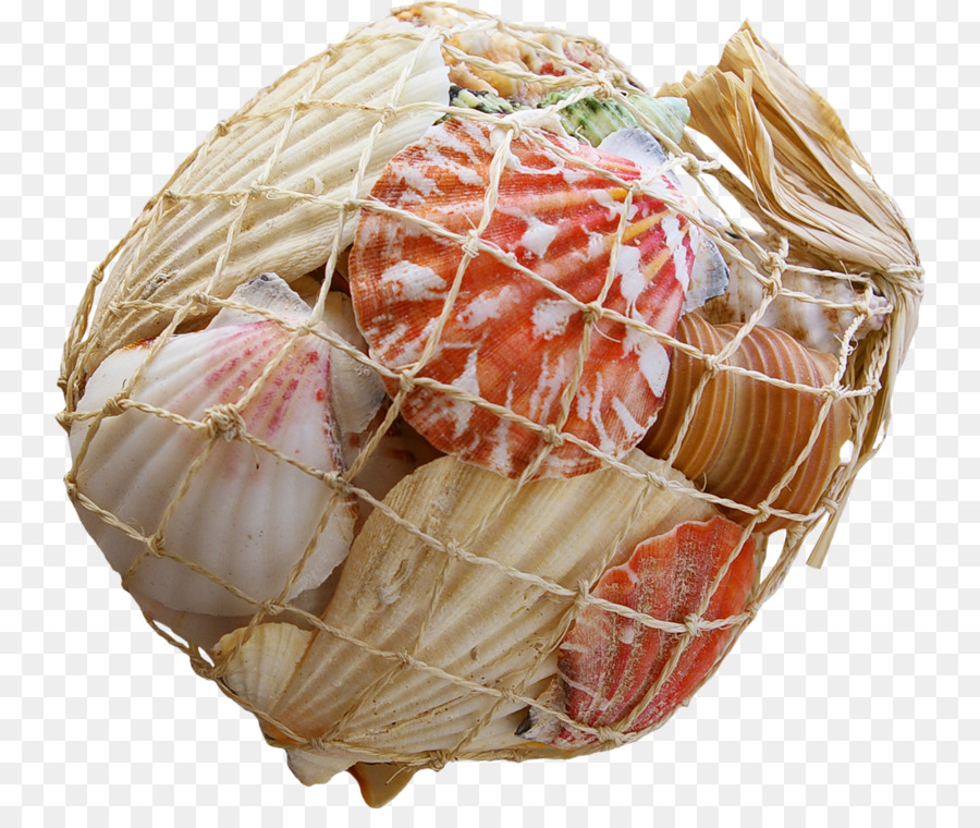 Mexilhão，Clam PNG