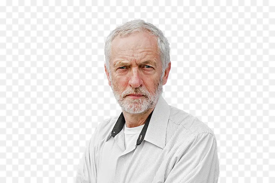 Jeremy Corbyn，Camarada Corbyn PNG