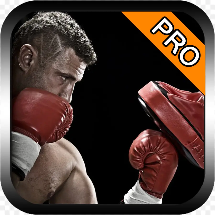 Boxer，Luvas De Boxe PNG