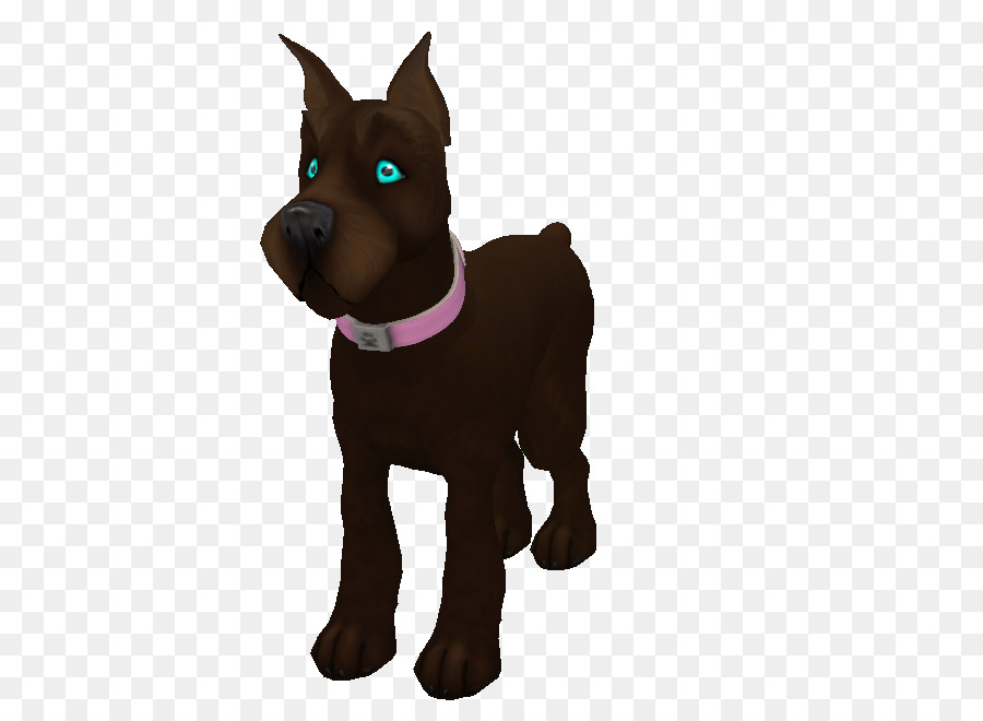 Raça Do Cão，Filhote De Cachorro PNG