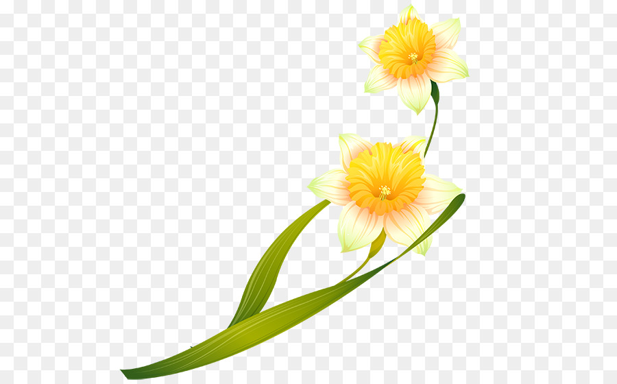 Flor，Flores De Corte PNG