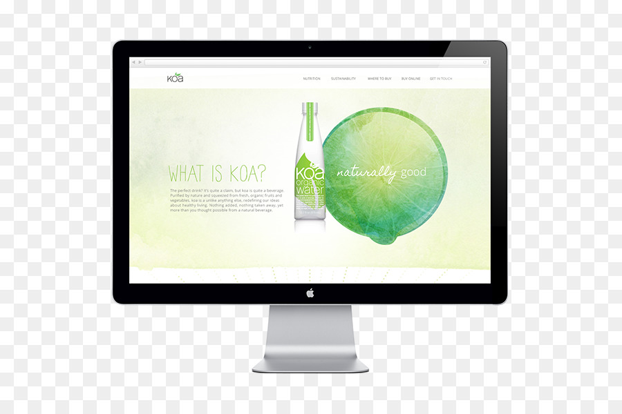 Microsite，Web Design PNG