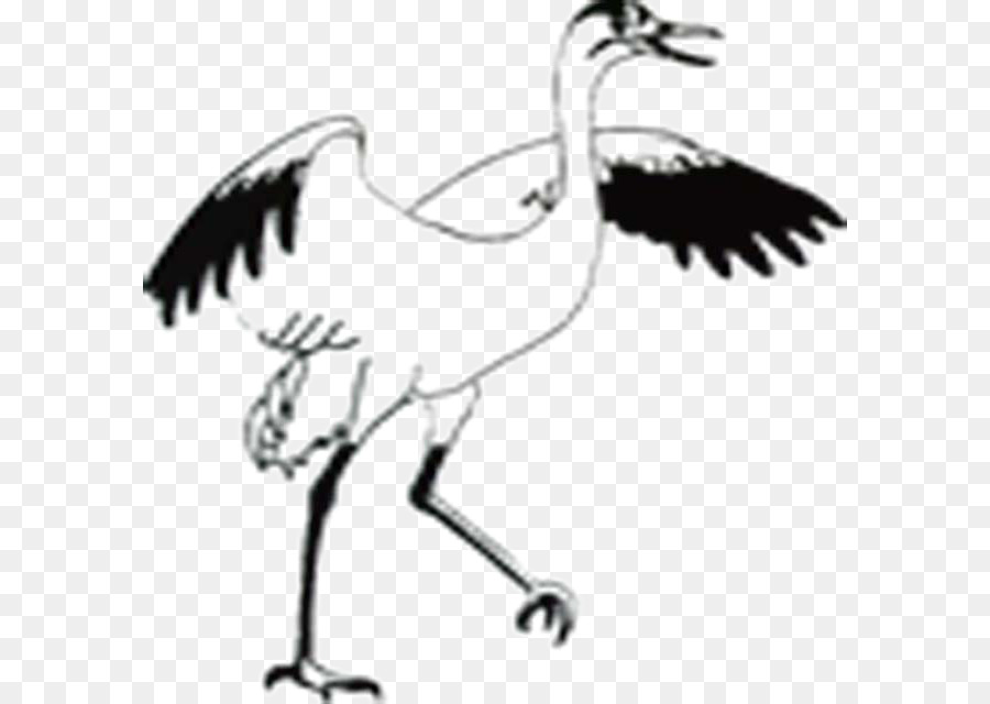 Guindaste，Aves PNG