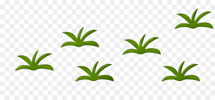 Planta Herbácea，Desenho PNG