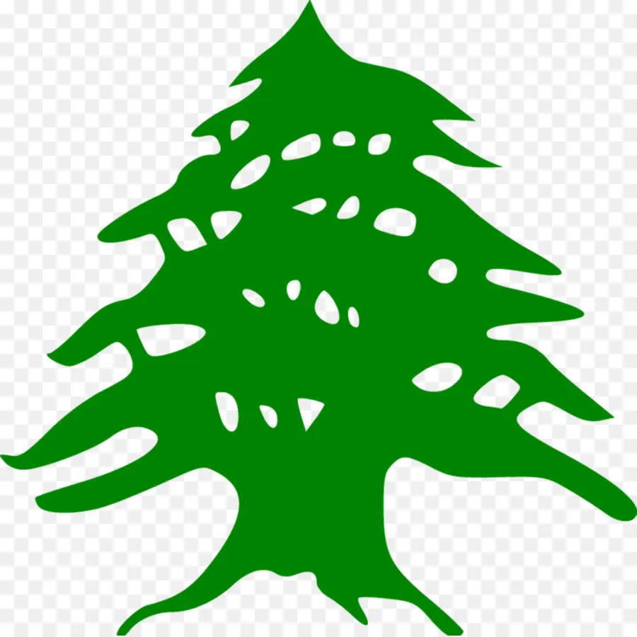 Cedrus Libani，Bandeira Do Líbano PNG