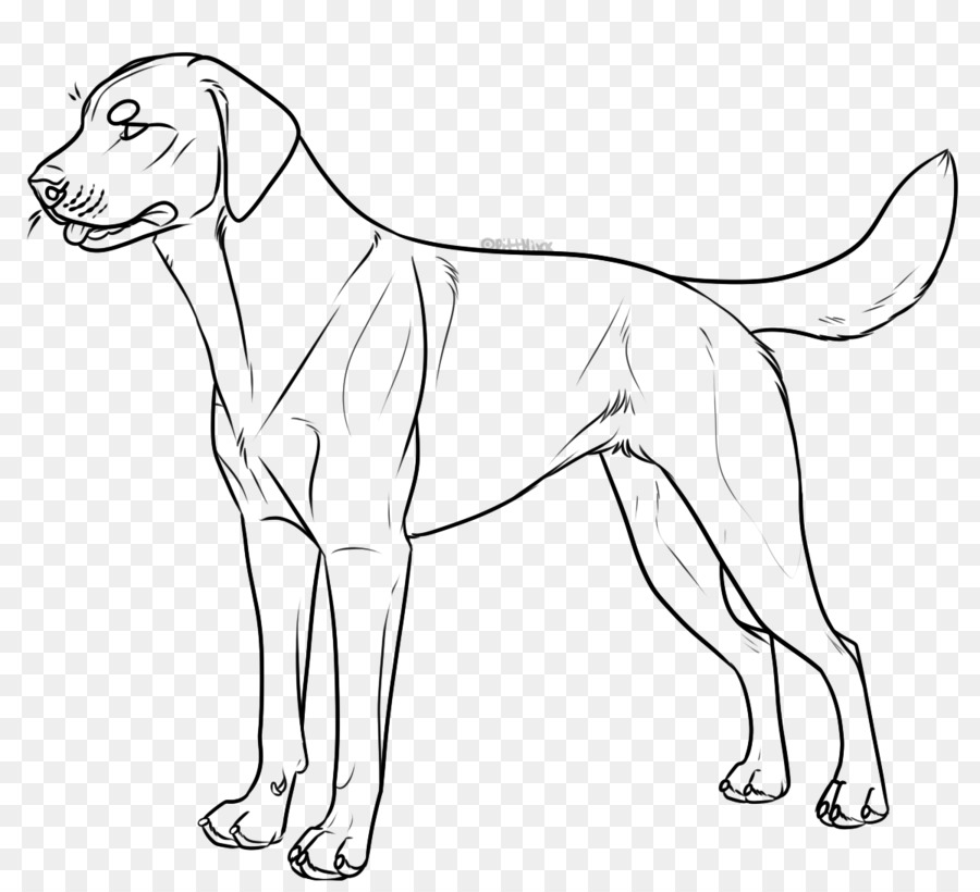 Cachorro，Canino PNG