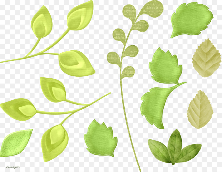 Folhas Verdes，Plantar PNG