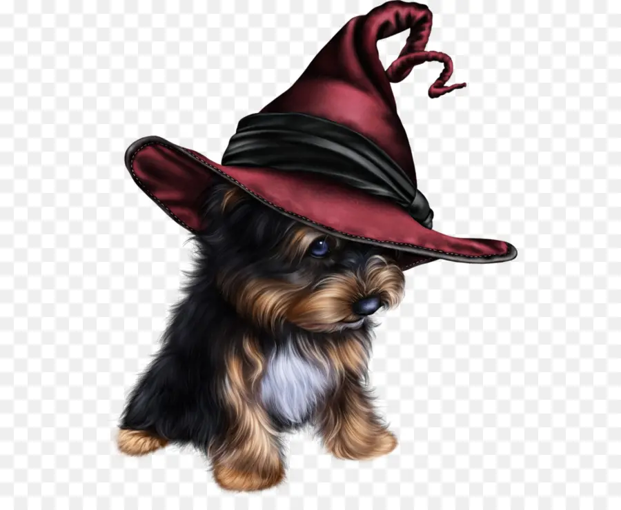 Yorkshire Terrier，Filhote De Cachorro PNG