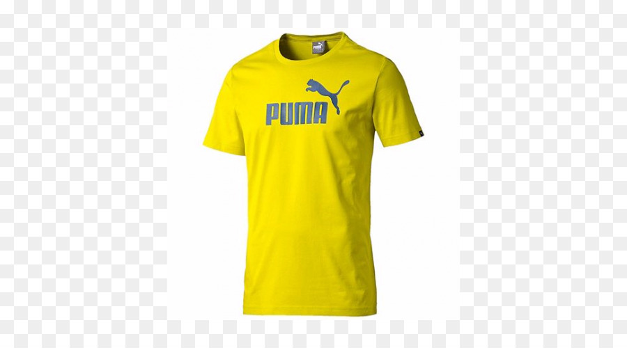 Tshirt，Capuz PNG
