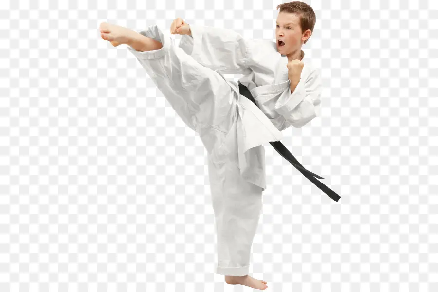 Taekwondo，Artes Marciais PNG