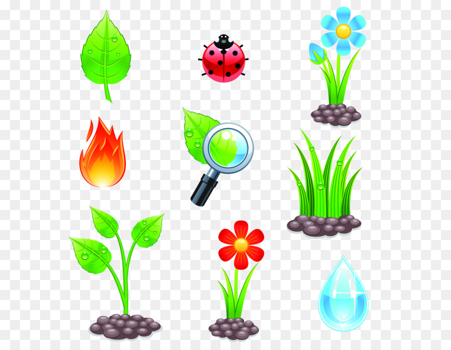 Elementos De Flores E Natureza，Plantar PNG