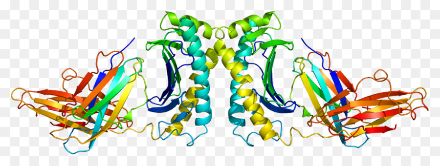 Estrutura Proteica，Biologia PNG