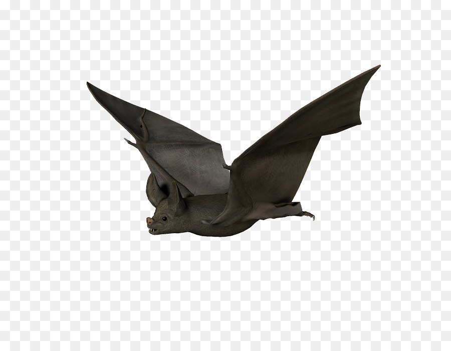 Bat，Artes Visuais PNG