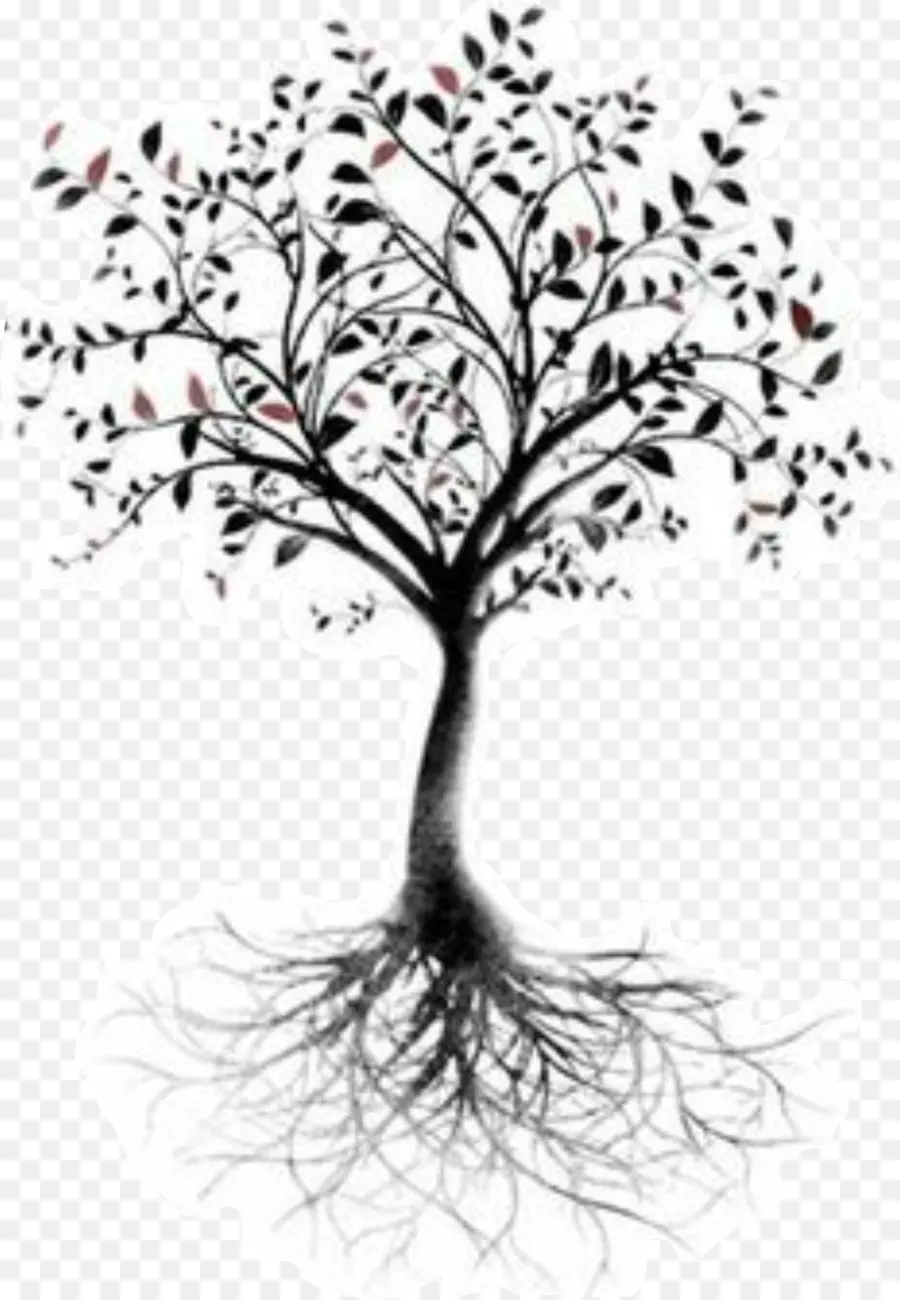 árvore Da Vida，Raiz PNG