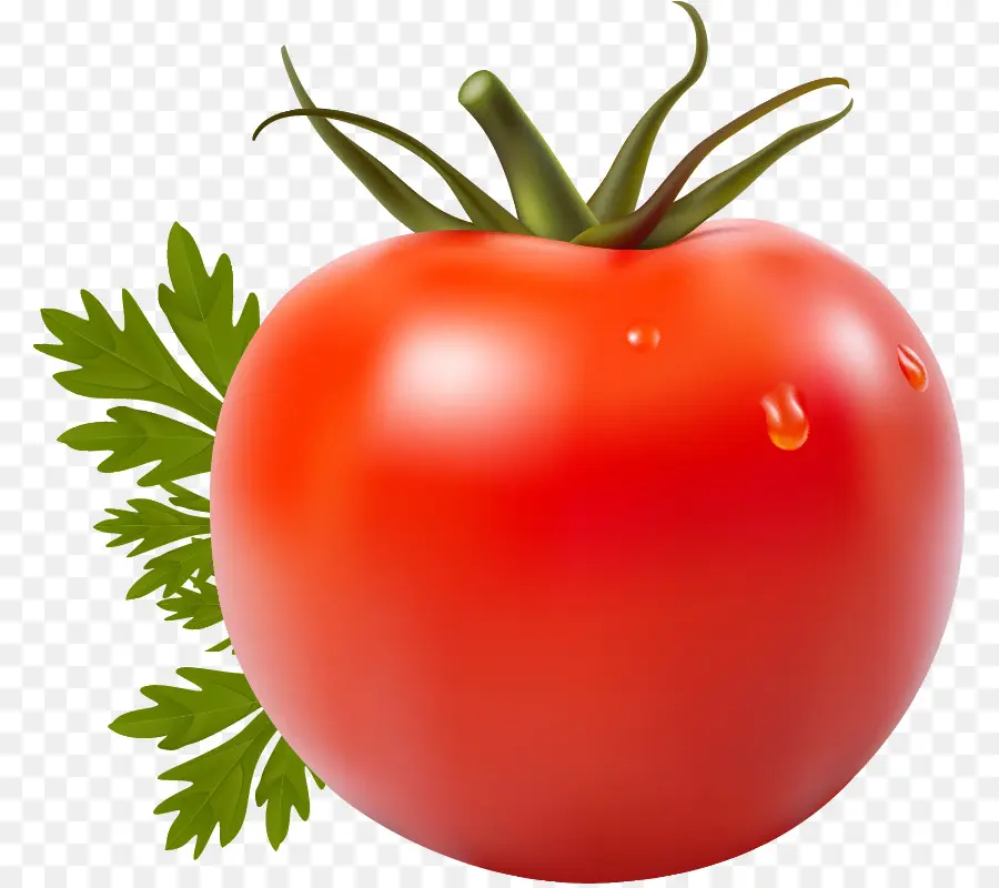 O Suco De Tomate，San Marzano Tomate PNG