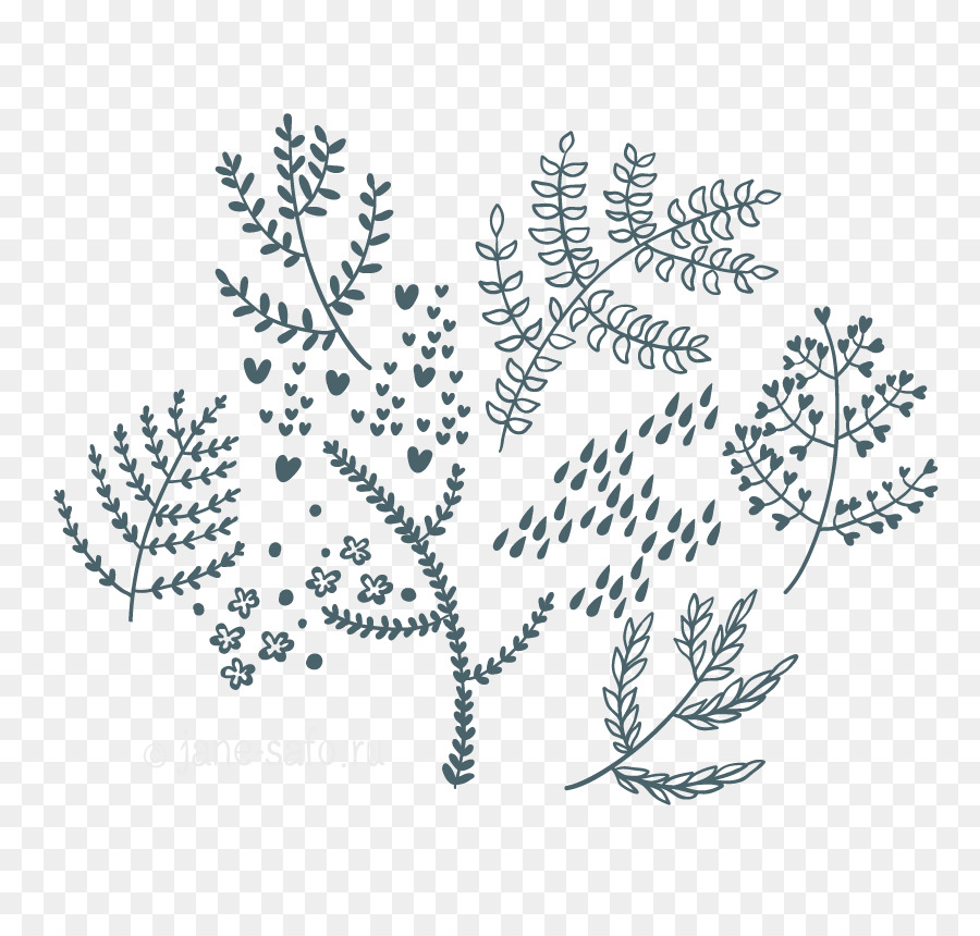 Plantas Doodle，Natureza PNG