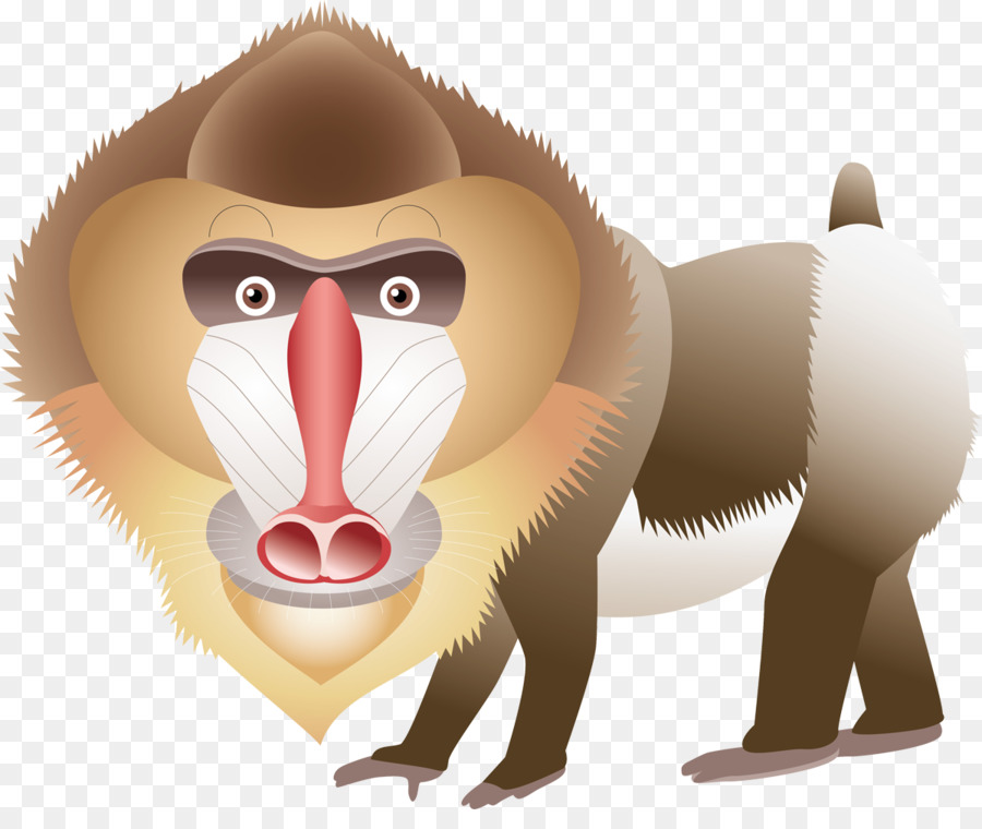 Cercopithecidae，Mandril PNG