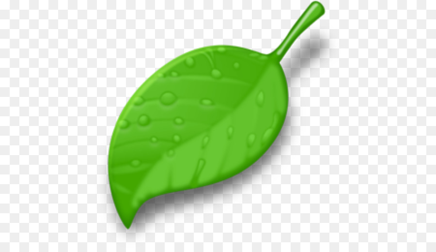 Verde，Cor PNG