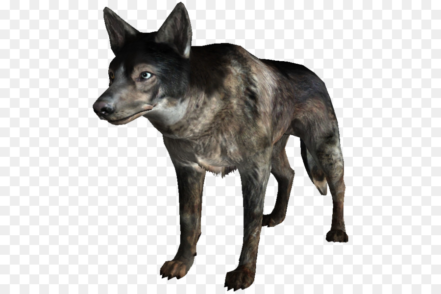 Kunming Wolfdog，Fallout 3 PNG