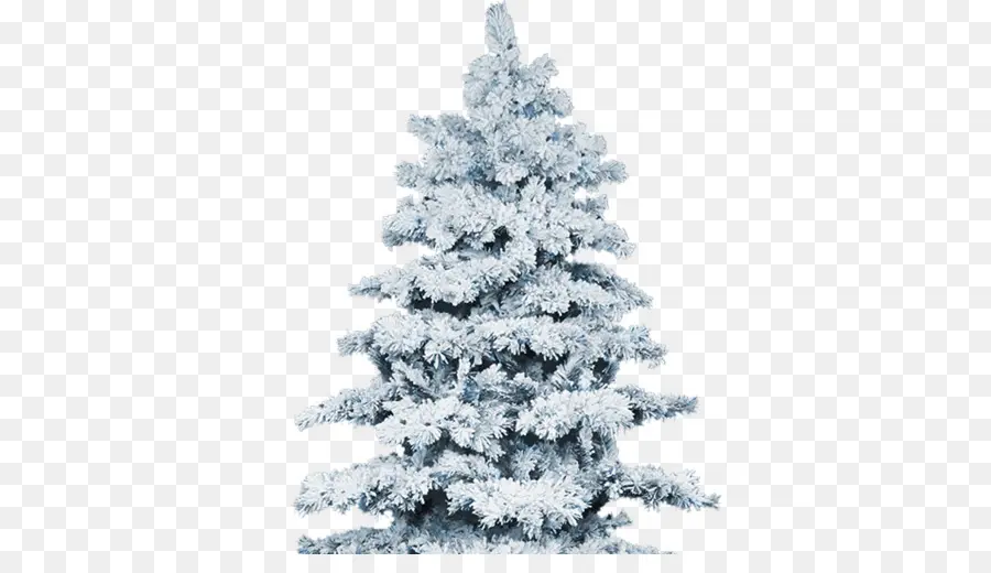 Neve，árvore De Natal PNG