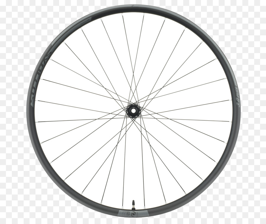 Roda De Bicicleta，Raios PNG