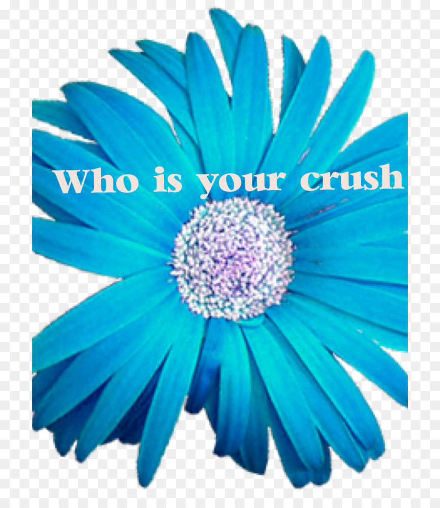 Flor，Azul PNG