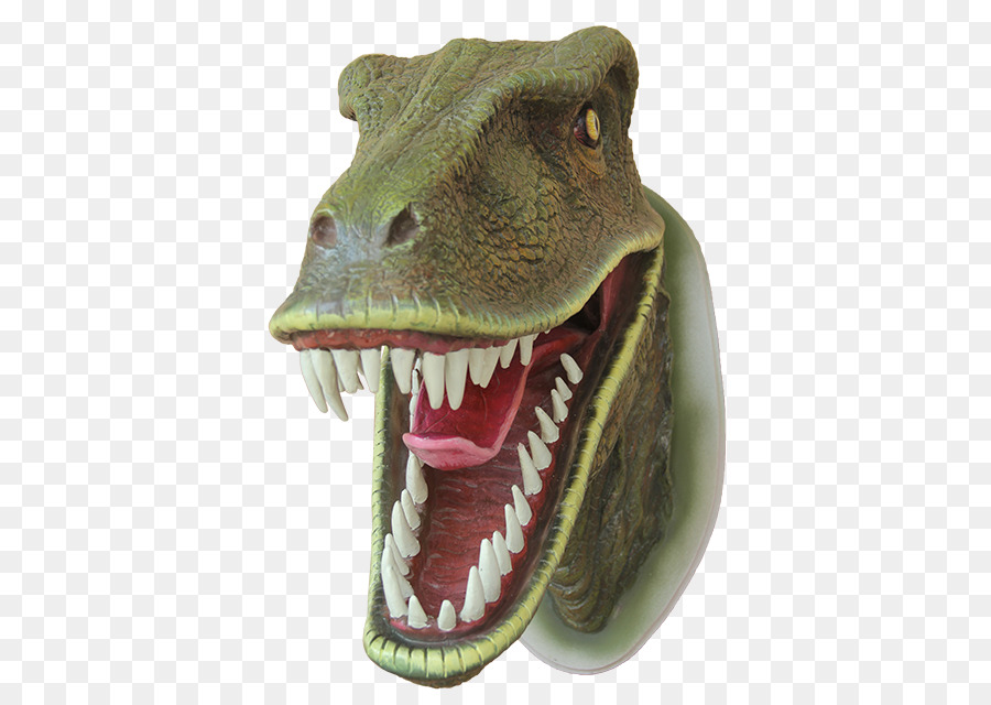 Cabeça De Crocodilo，Dentes PNG