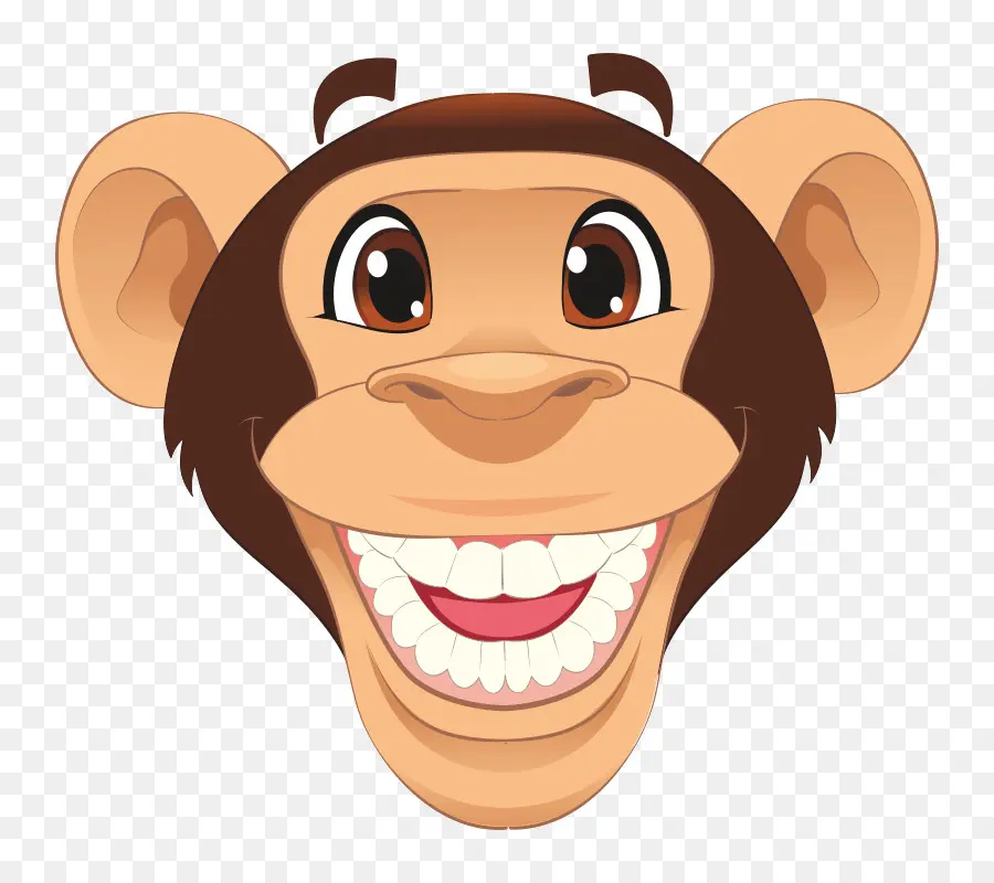 Cara De Macaco，Desenho Animado PNG