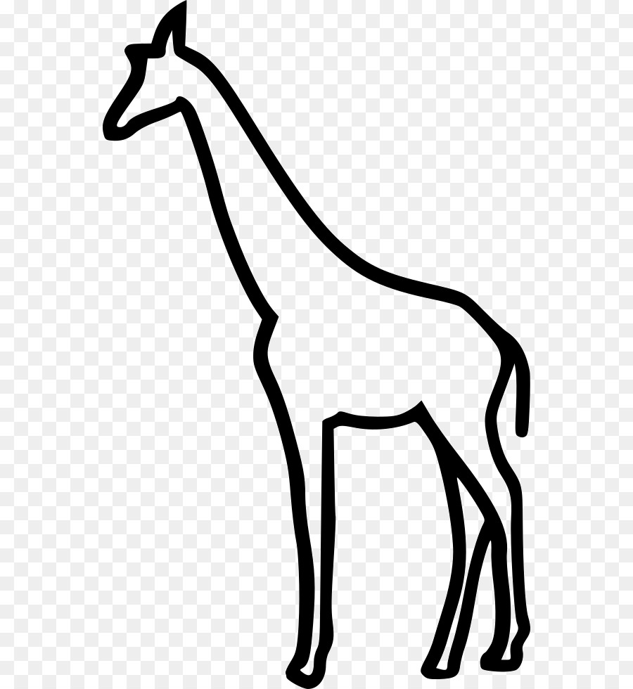 Girafa，Alto PNG